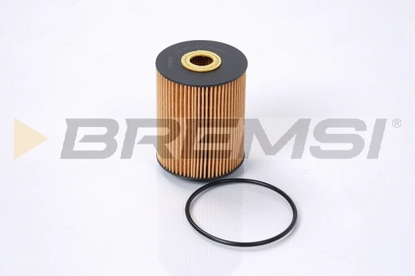 Oil Filter (FL1284)