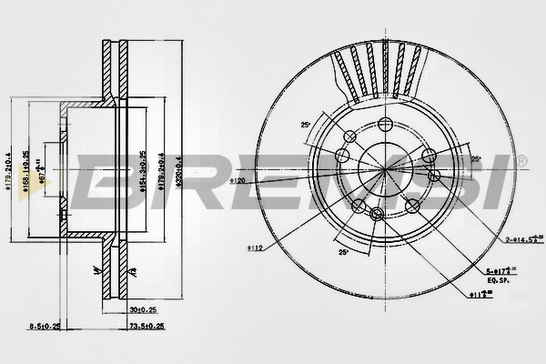 Brake Disc (CD6629V)