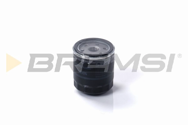 Oil Filter (FL0304)