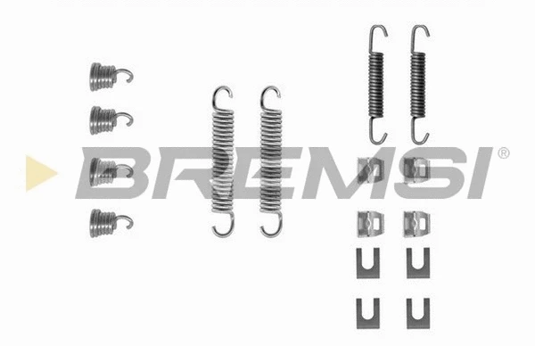 Accessory Kit, brake shoes (SK0550)