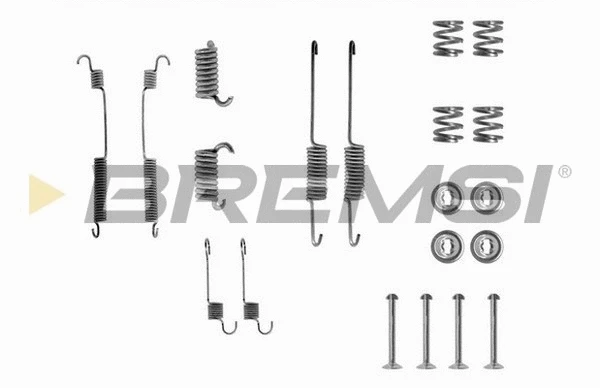 Accessory Kit, brake shoes (SK0599)