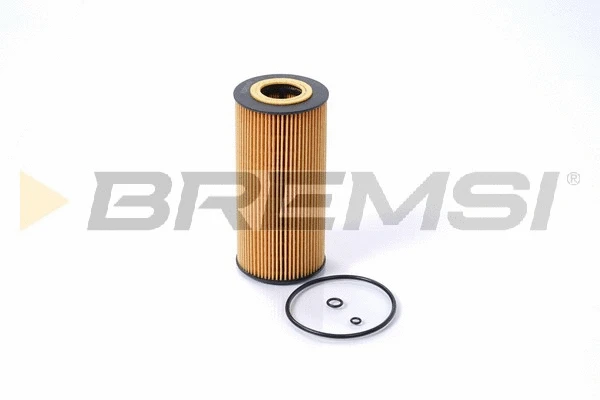 Oil Filter (FL1396)