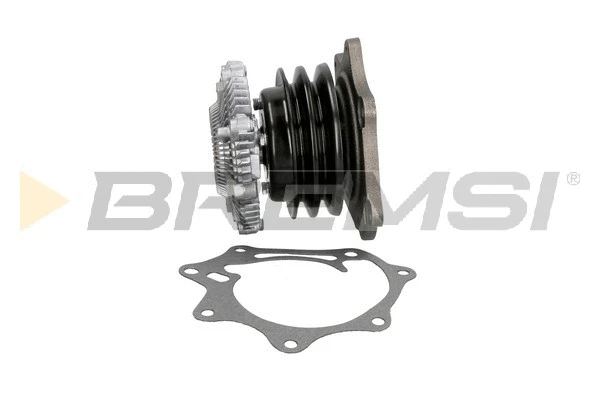 Water Pump, engine cooling (WP0318)