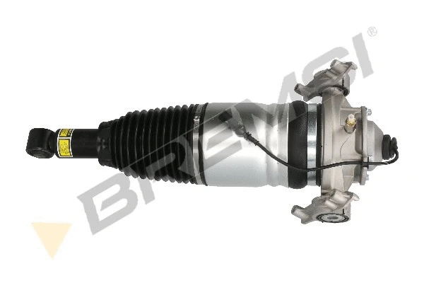 Air Suspension Strut (SA2040)