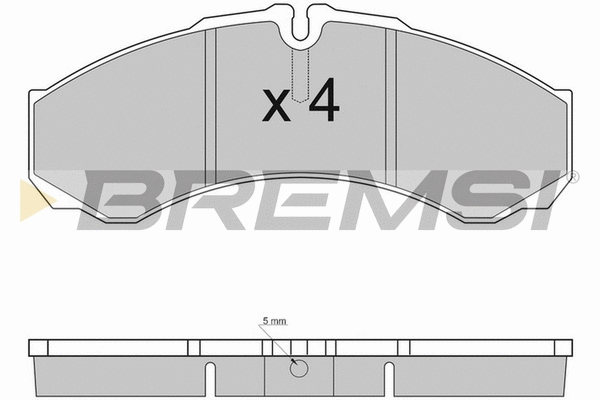 Brake Pad Set, disc brake (BP2925TR)