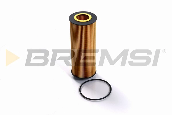 Oil Filter (FL1409)