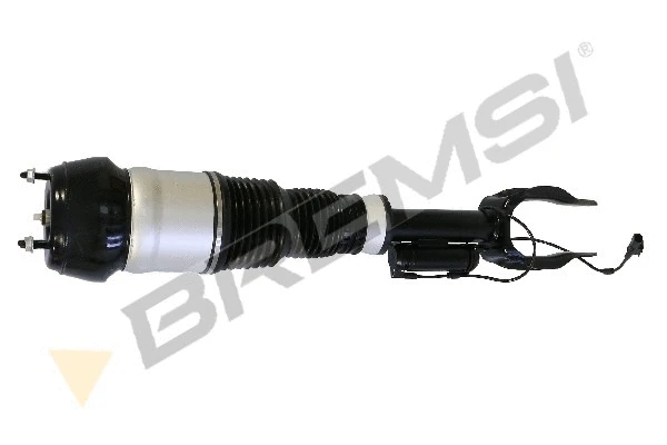Air Suspension Strut (SA2041)