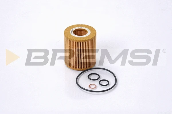 Oil Filter (FL0704)
