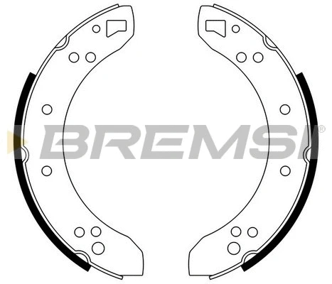 Brake Shoe Set (GF0198)