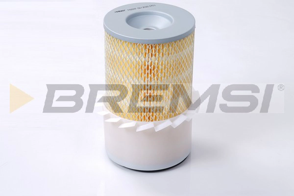 Air Filter (FA2237)