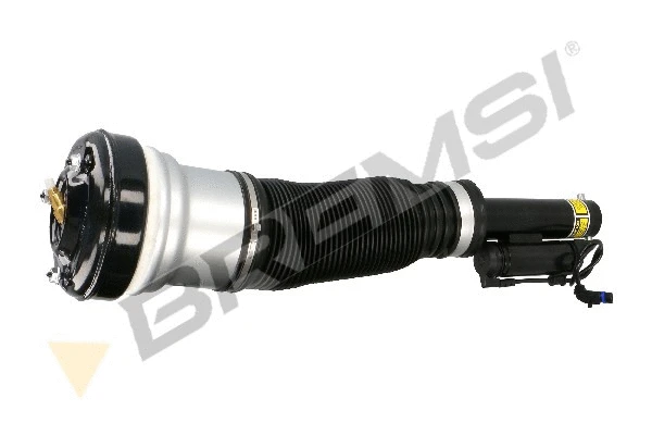 Air Suspension Strut (SA2060)