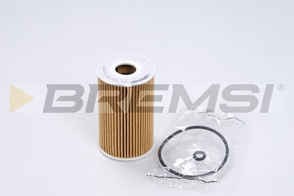 Oil Filter (FL0255)