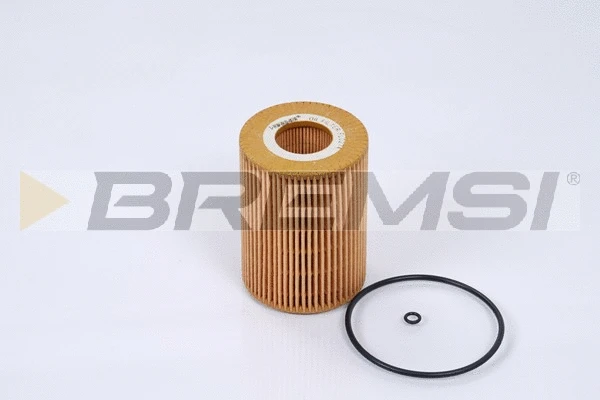 Oil Filter (FL0274)