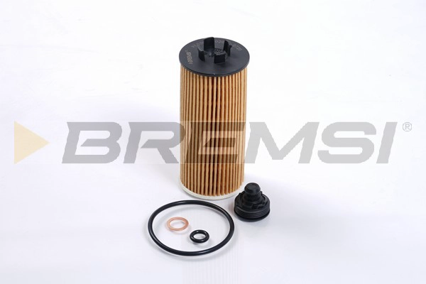 Oil Filter (FL0266)