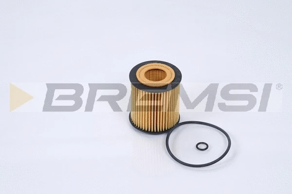 Oil Filter (FL1750)