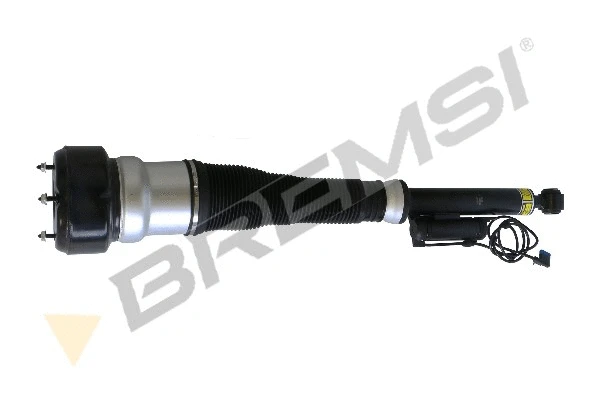 Air Suspension Strut (SA2055)