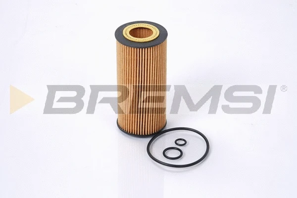 Oil Filter (FL1291)