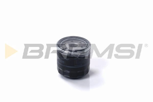 Oil Filter (FL0311)