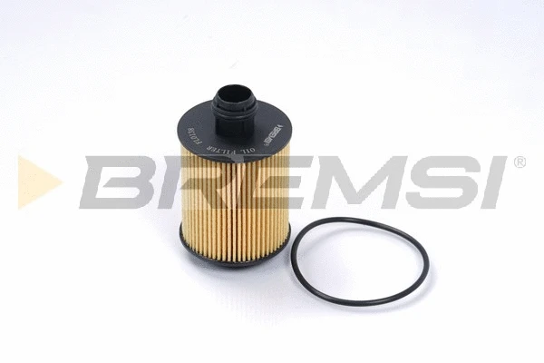 Oil Filter (FL0138)