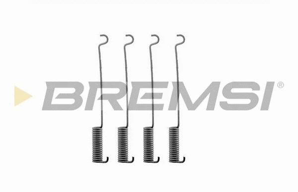 Accessory Kit, brake shoes (SK0575)