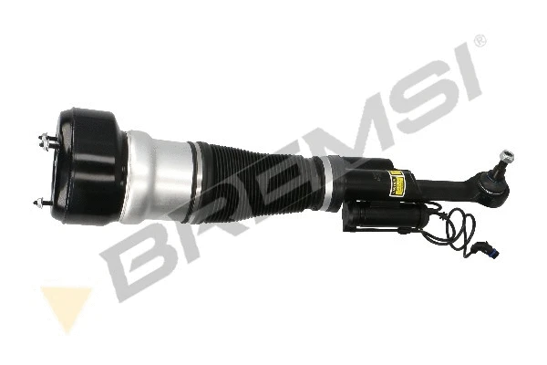 Air Suspension Strut (SA2042)