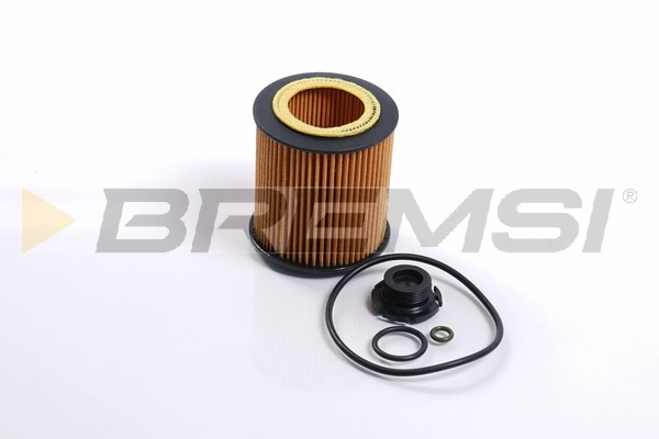 Oil Filter (FL2351)