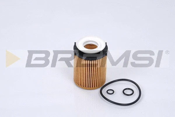 Oil Filter (FL0270)