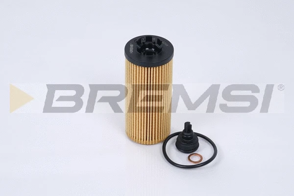 Oil Filter (FL0293)