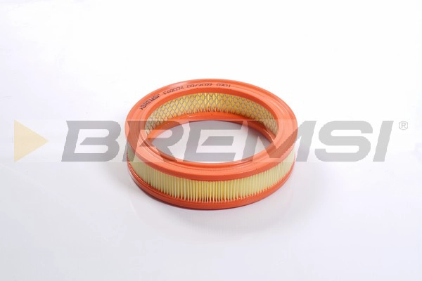 Air Filter (FA2074)
