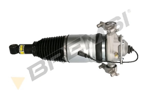 Air Suspension Strut (SA2039)
