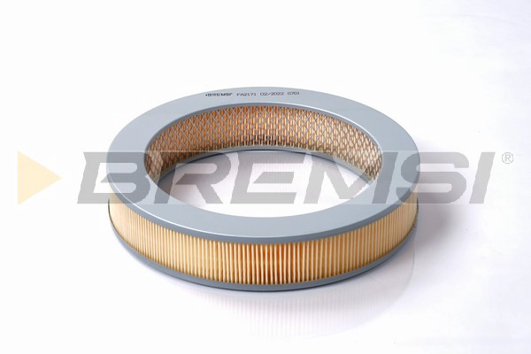 Air Filter (FA2171)
