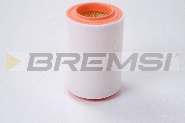 Air Filter (FA0585)