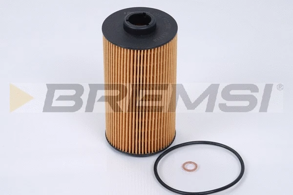 Oil Filter (FL1718)