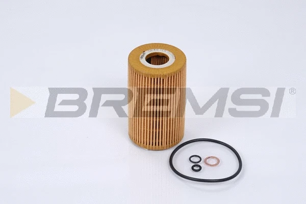 Oil Filter (FL0689)