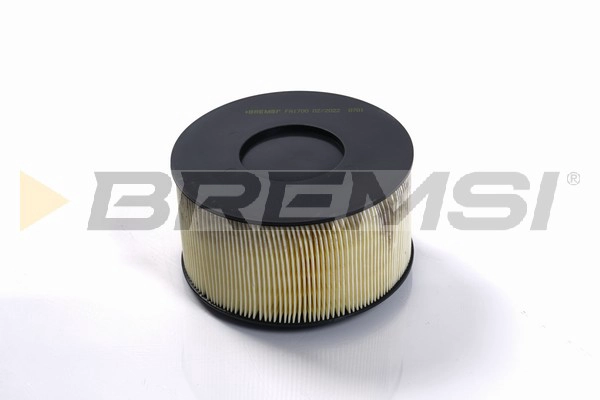 Air Filter (FA1700)