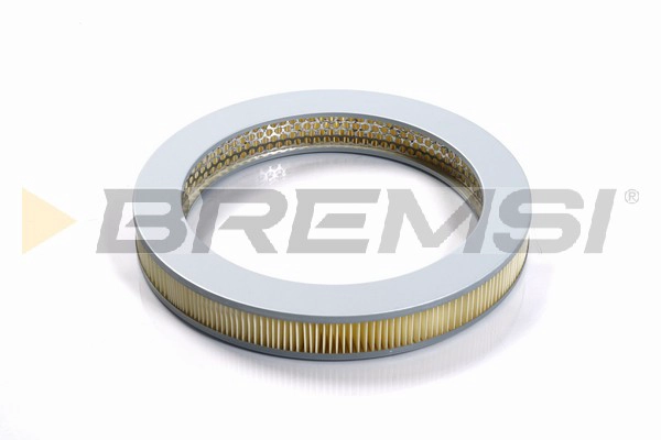 Air Filter (FA2304)