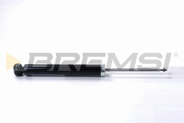 Shock Absorber (SA2174)