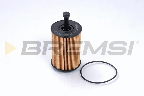 Oil Filter (FL0139)