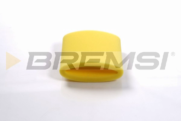 Air Filter (FA2160)