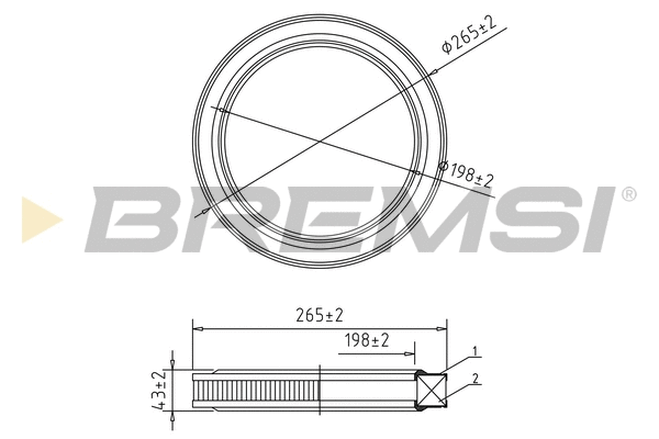 Air Filter (FA2079)