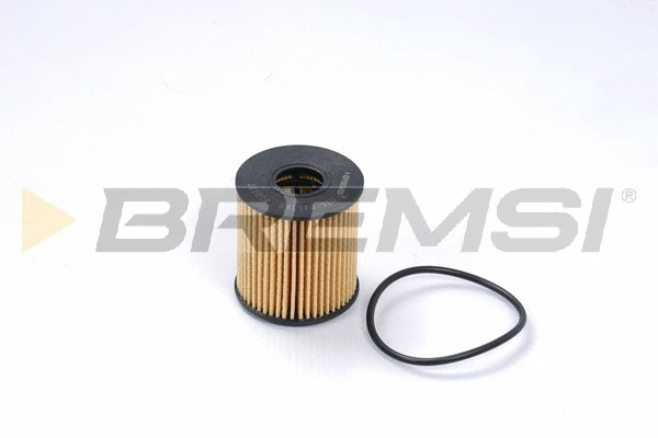 Oil Filter (FL0137)