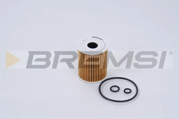 Oil Filter (FL0268)