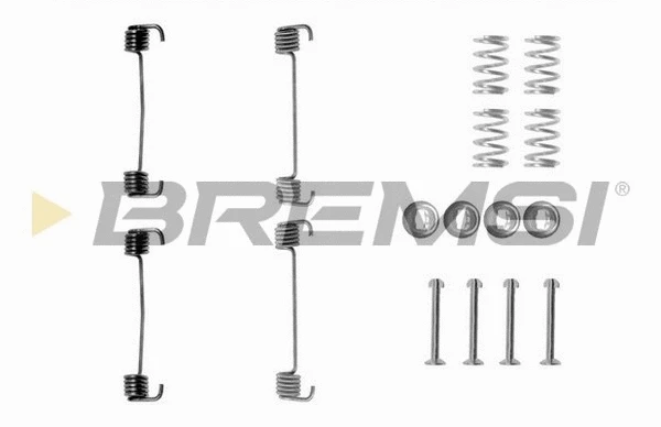 Accessory Kit, brake shoes (SK0619)