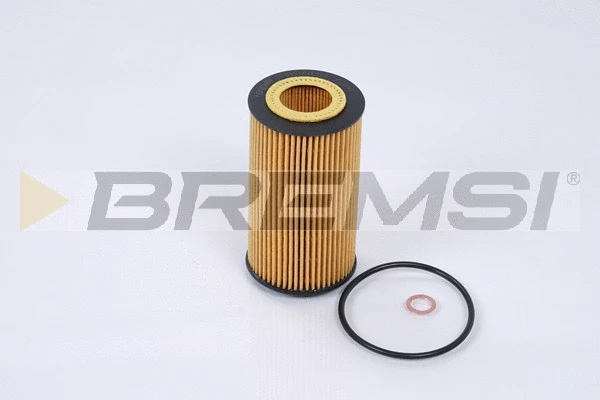 Oil Filter (FL0691)