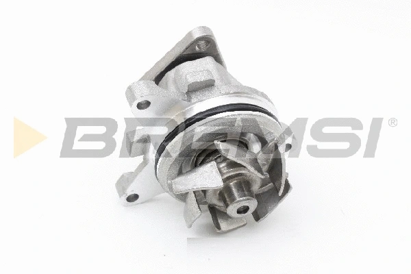 Water Pump, engine cooling (WP0613)