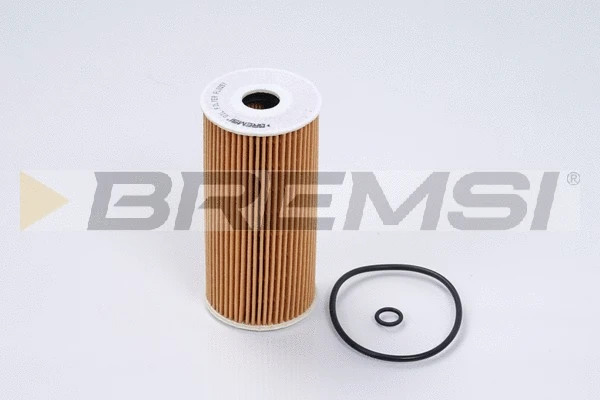 Oil Filter (FL0257)