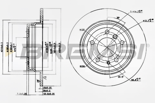 Brake Disc (CD6221S)