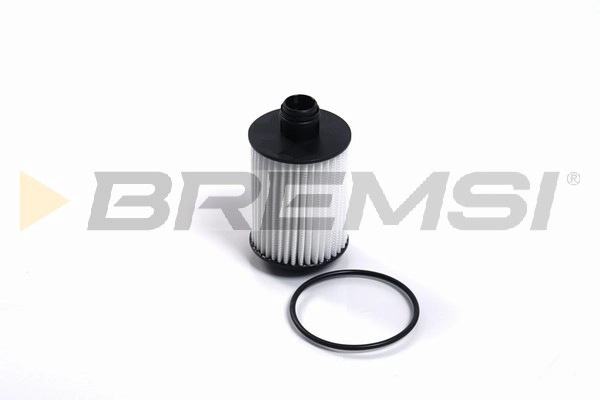 Oil Filter (FL2458)