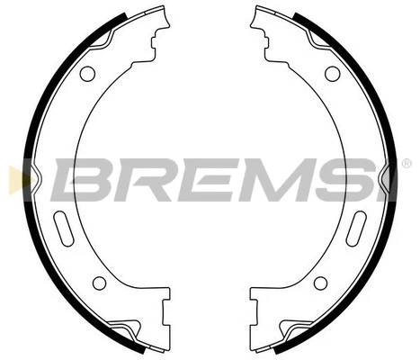 Brake Shoe Set, parking brake (GF4843)