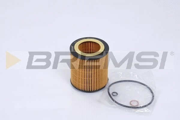Oil Filter (FL1281)